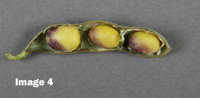 image4-lb.jpg image4-lb.jpg